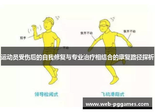 运动员受伤后的自我修复与专业治疗相结合的康复路径探析